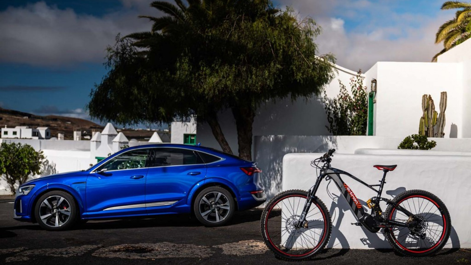 Audi's electric mountain bike