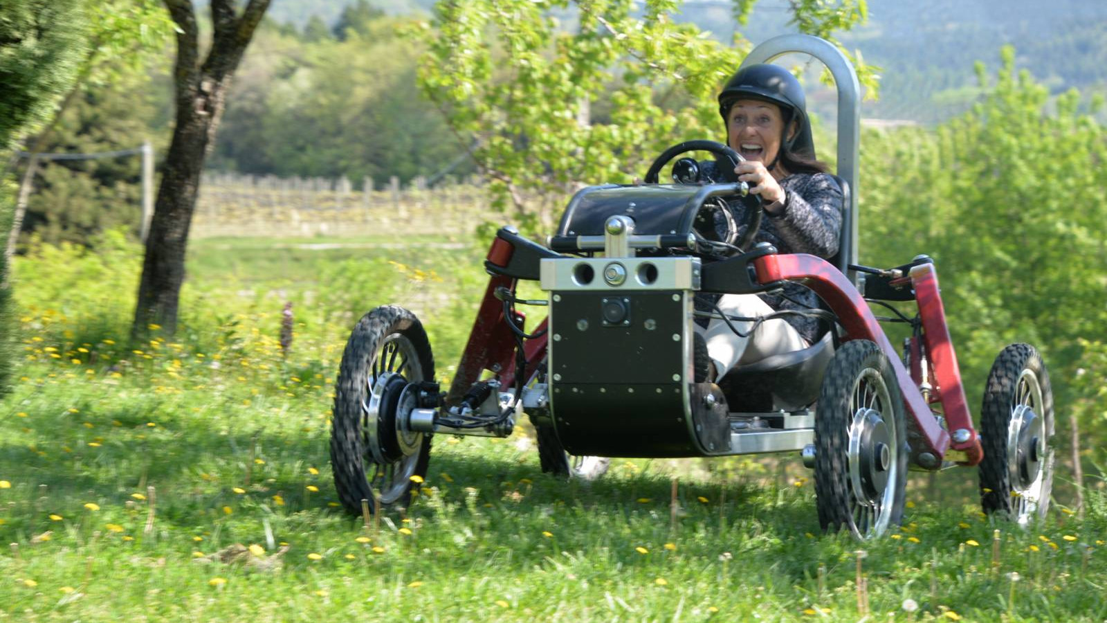 Swincar e-Spider