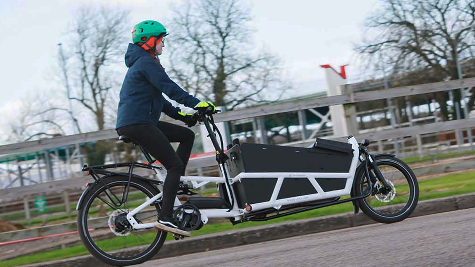 Cargo e-bike