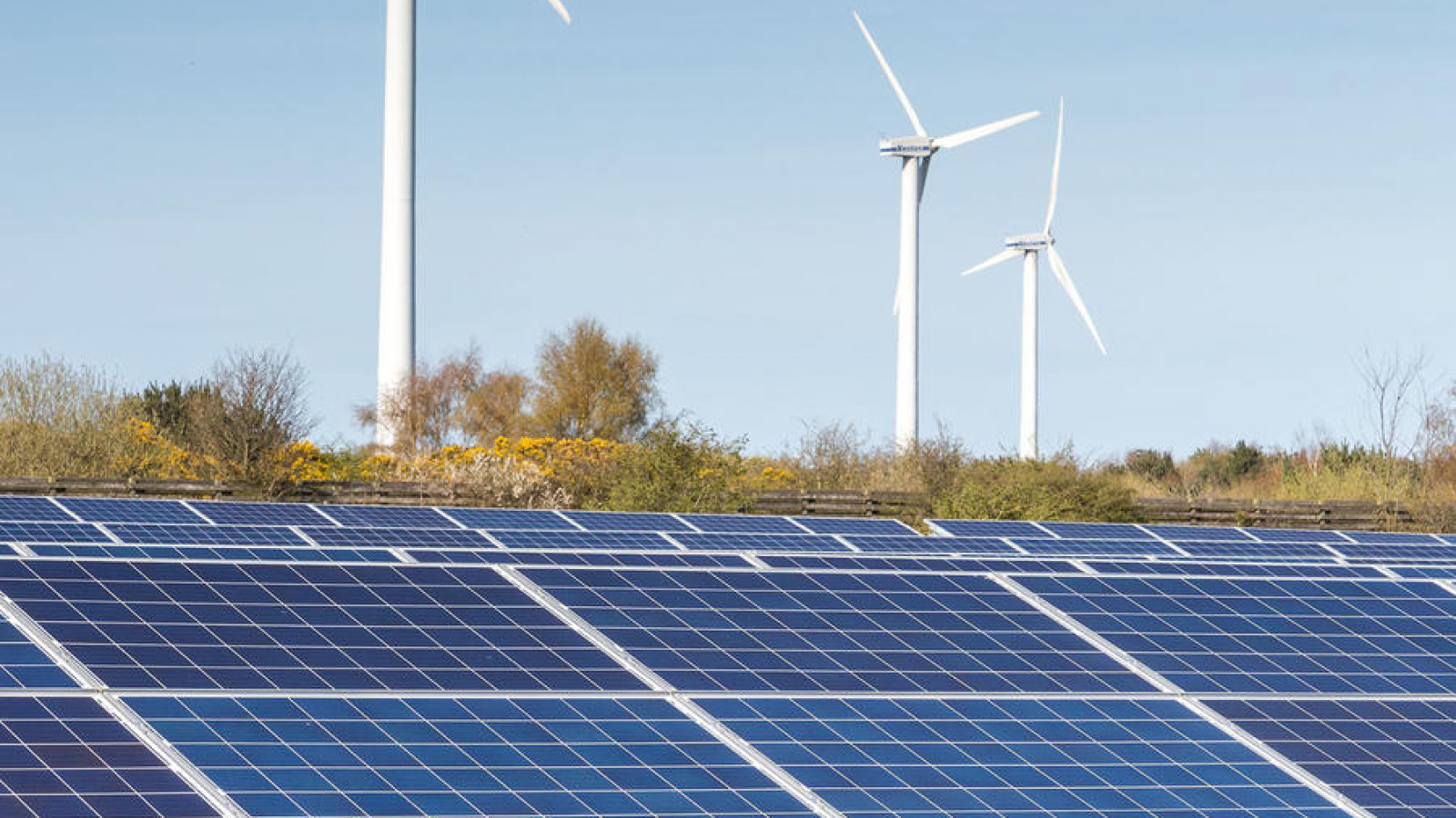 Nissan solar farm